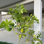 Evanthia * Agios Georgios (Tamyneoi)