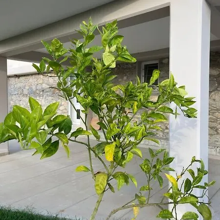 Evanthia Large Garden & Mountain View * Agios Georgios (Tamyneoi)